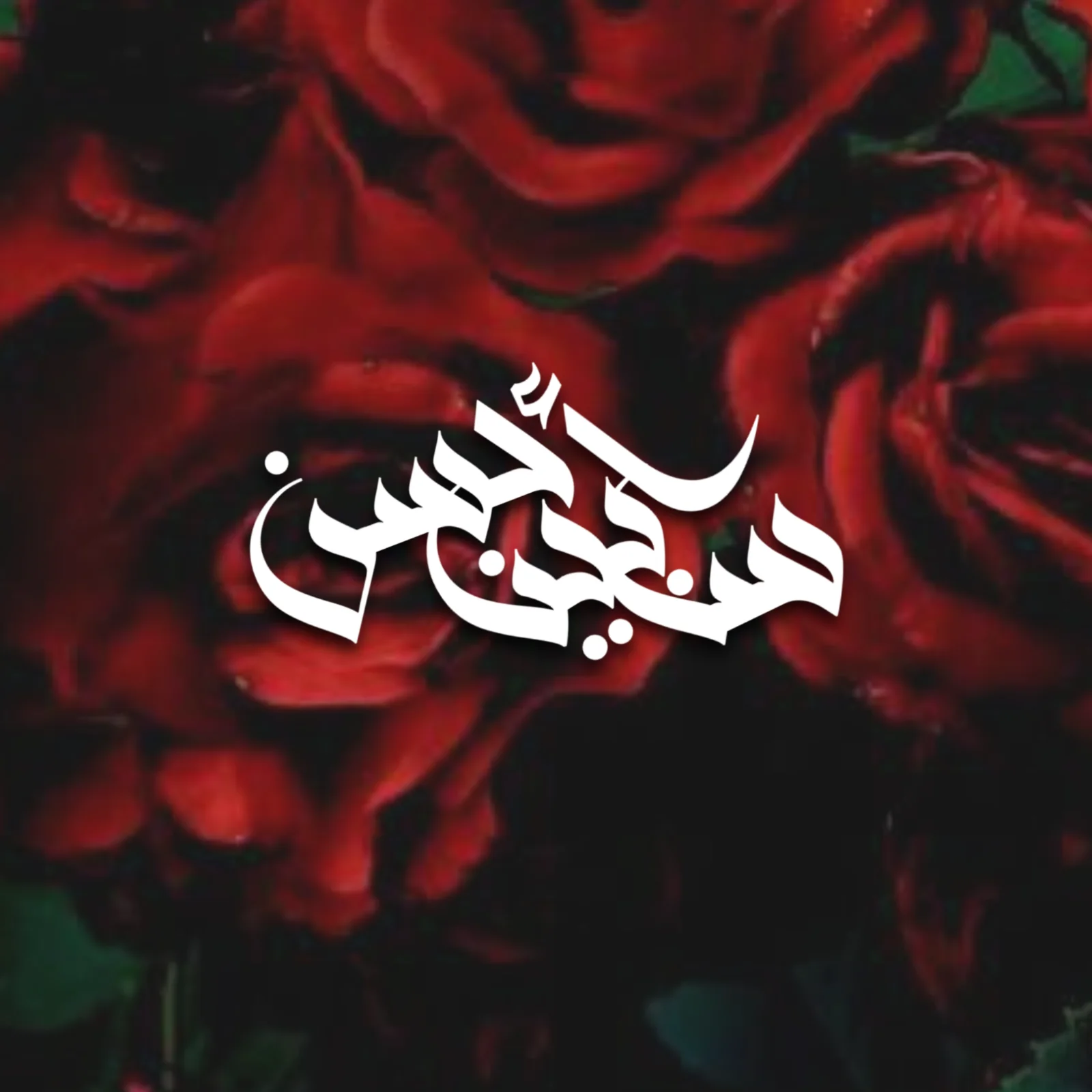 Close-up of dark red roses with green leaves, overlaid with centered white Arabic-style calligraphy strokes that appear malformed and disconnected.